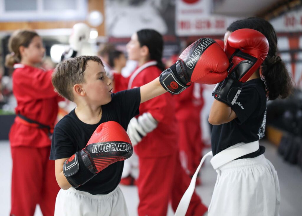 artes marciales sant cugat